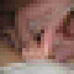 satiner