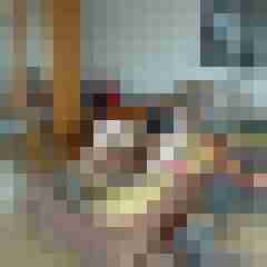 Baecker07
