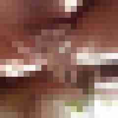 camerolli