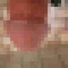 stiegl