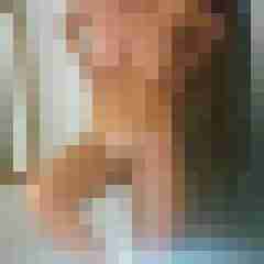 Timg