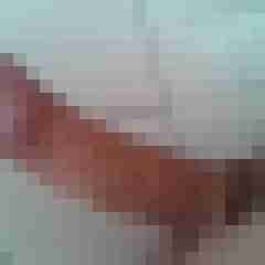 olig