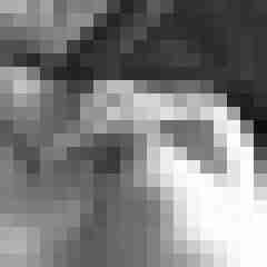lustiger73