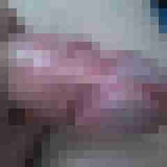 hornyxsar