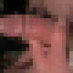 hornyxsar