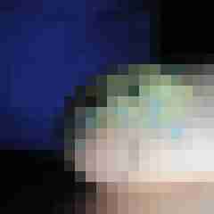 seemann0706