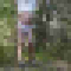 doline