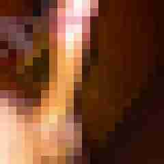 patte83