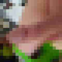 knallschote84