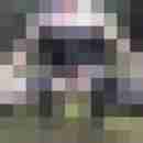 Aritecd