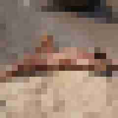 Charlie_zwo