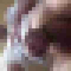 gerd123