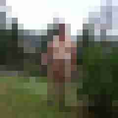 pimperion