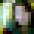 schira