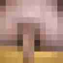 mysterypaar1