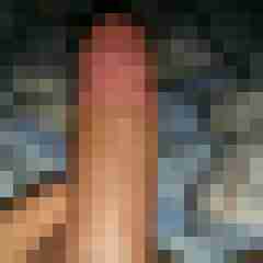 Oscbel