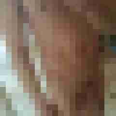 jamp0173