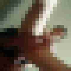 gerrycn