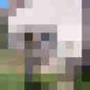 Rouven21