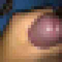 tommy64
