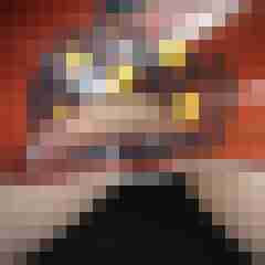 5 Bilder von marc7566