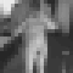 DrParaNoia