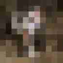 chris_iris