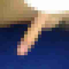 patte83