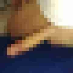 patte83