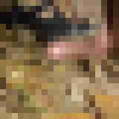 BengelBN