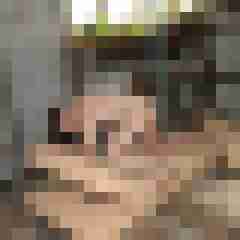seemann0706