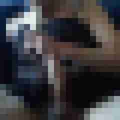 fettundnett