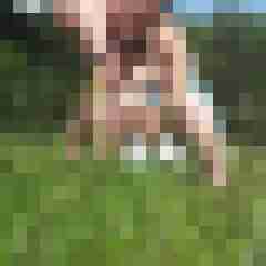revilo_