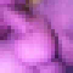 saufotze
