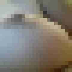 bipaarsuchtmwp