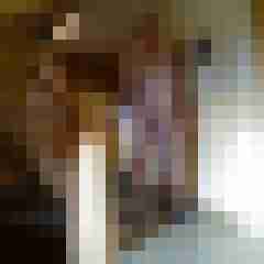 pimperion