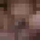 ressip53
