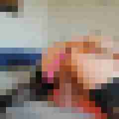 hasehase23