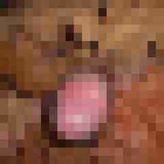 3 Bilder von M_BER