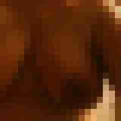 Hotte2