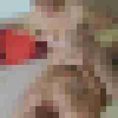 seemann0706