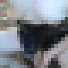 andreaZ