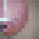 fussficker