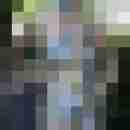 gert666