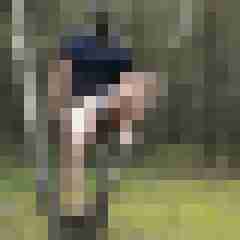 jopen