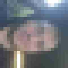 flore1993