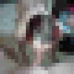 bipaarsuchtmwp