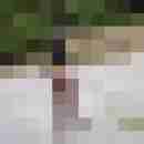 AnnaTV