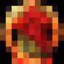 gert666