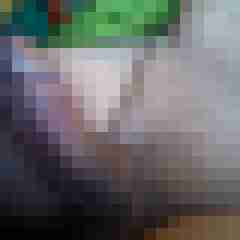 brauner01